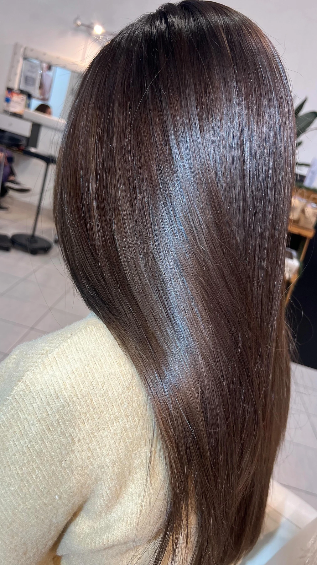 Castaño con brushing